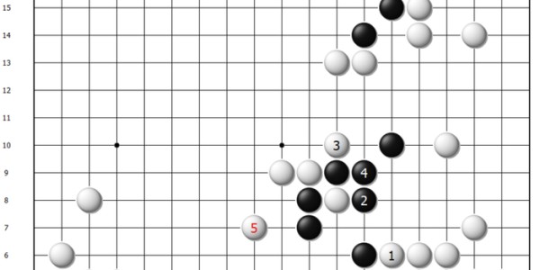 开云注册-弈客签约 | 克星再现？申真谞败走加德士|姜东润|白棋|黑棋|实战|对局_新浪体育_新浪新闻