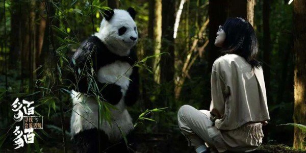 官宣！“川超”雅安队队名、队徽正式确定！